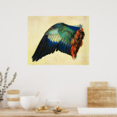 WING VAN EEN EUROPESE ROLLERDURER POSTER (Keuken)