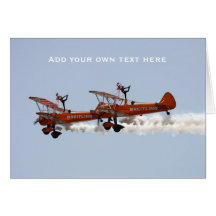 Wing Walkers aerobatic display team