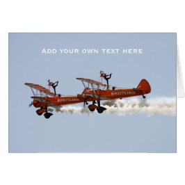 Wing Walkers aerobatic display team