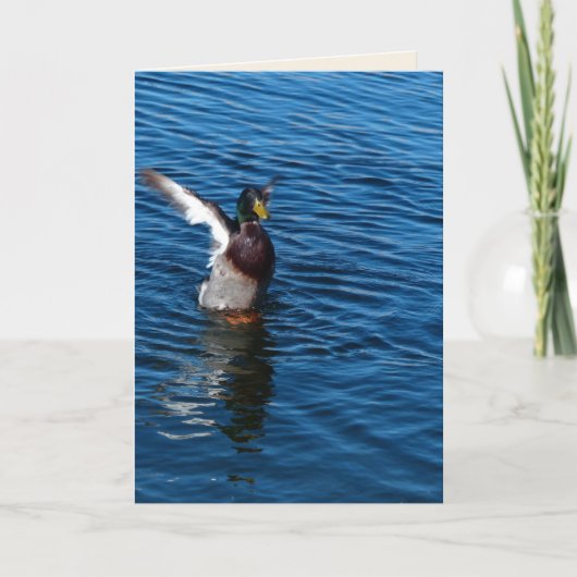 Wingd Duck, blanco Wenskaart Kaart (Voorkant)