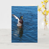 Wingd Duck, blanco Wenskaart Kaart (Gele Bloem)