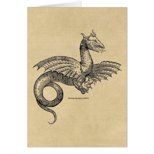 Winged Dragon (Voorkant)