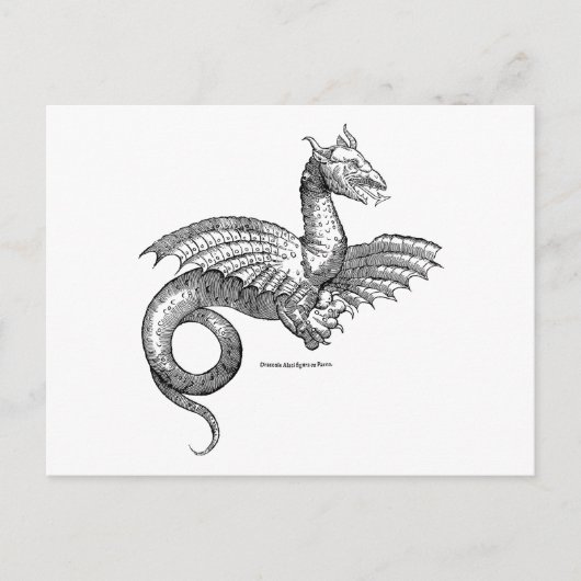Winged Dragon of Wyvern Briefkaart (Voorkant)