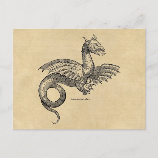 Winged Dragon Sepia Briefkaart (Voorkant)