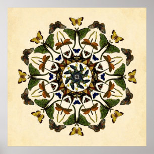 Winged Earth Butterfly Kaleidoscope Art Poster