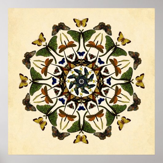 Winged Earth Butterfly Kaleidoscope Art Poster (Voorkant)