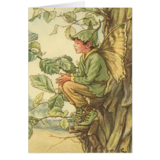 Winged Elm Fairy Zitten in een boom (Voorkant)