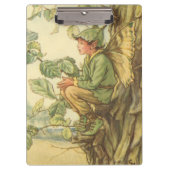 Winged Elm Fairy Zitten in een boom Klembord (Voorkant)
