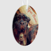 Winged Gargoyle Cat Acrylversiering Ornament (voorkant)