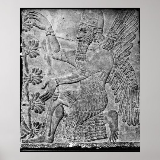 Winged Genie die de saaie boom aantrekt Poster (Voorkant)