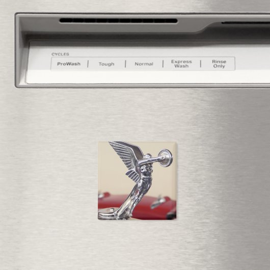 Winged Magneet (Insitu (Vaatwasser))