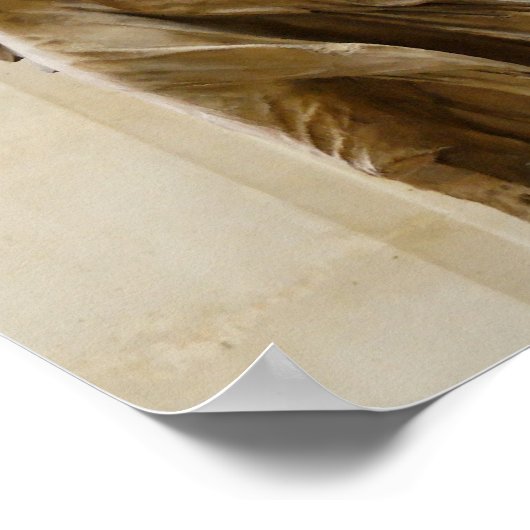 Winged overwinning van Samothrace Poster (Hoek)