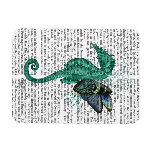 Winged Seahorse Magneet (Horizontaal)