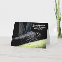 Winged Wisdom - Het verhaal van de libel