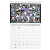 Winging Cat Rescue 2016 Premium Calendar Kalender (Jan 2027)