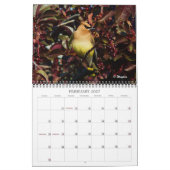 Wingpics 2012 Song Birds Calendar Kalender (Feb 2027)