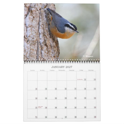 Wingpics 2012 Song Birds Calendar Kalender (Jan 2027)