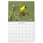 Wingpics 2012 Song Birds Calendar Kalender (Mar 2027)
