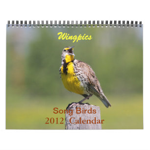 Wingpics 2012 Song Birds Calendar Kalender