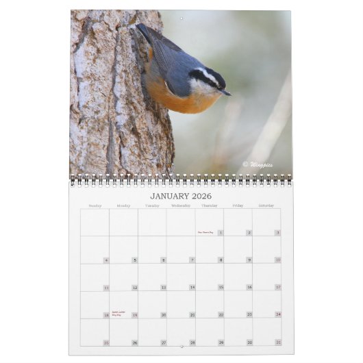 Wingpics 2012 Song Birds Calendar Kalender (Jan 2026)