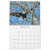 Wingpics Eagle Agenda 2012 Kalender (Feb 2027)