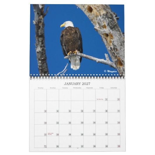 Wingpics Eagle Agenda 2012 Kalender (Jan 2027)