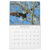 Wingpics Eagle Agenda 2012 Kalender (Feb 2026)