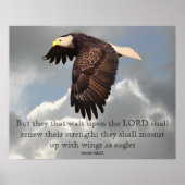 WINGS ALS ELGF POSTER (Voorkant)