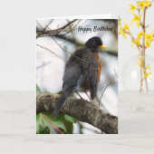 Wings American Robin Birthday Wenskaart Kaart (Gele Bloem)