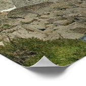 Wings as Eagles Isaiah 40:31 Poster (Hoek)