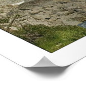 Wings as Eagles Isaiah 40:31 Poster (Hoek)