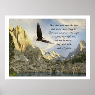 Wings as Eagles Isaiah 40:31 Poster