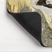 Wings as Eagles Walk and not Faint Isaiah 40 Muismat (Hoek)