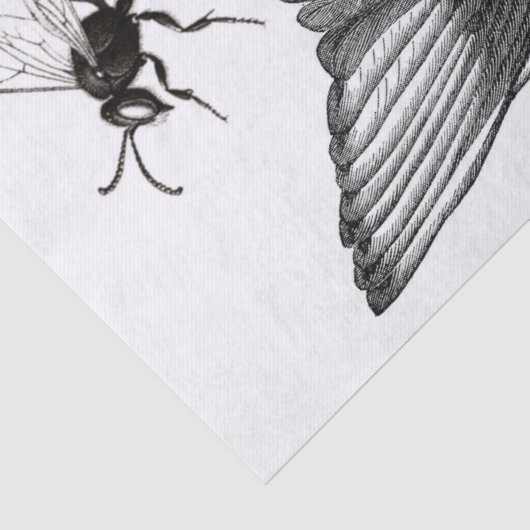 Wings Junk Journal Elements Decoupage Sheet Tissuepapier (Detail)