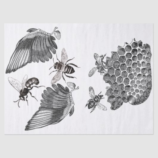 Wings Junk Journal Elements Decoupage Sheet Tissuepapier (Voorkant)