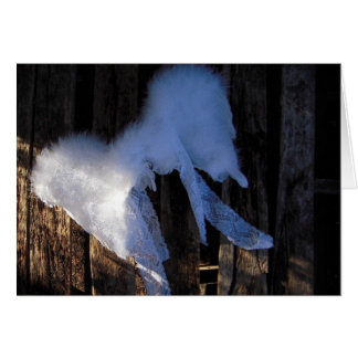 Wings & kant - Blanco kaart