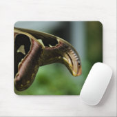 Wings of Atlas Mousepad Muismat (Met muis)