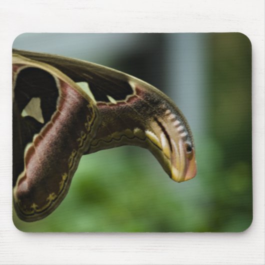 Wings of Atlas Mousepad Muismat (Voorkant)