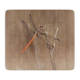 Wings of Gold Dragonfly Snijplank