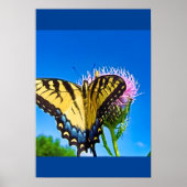 Wings of Love  Poster (Voorkant)