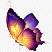 "Wings of Love Wenskaart" Bedankkaart