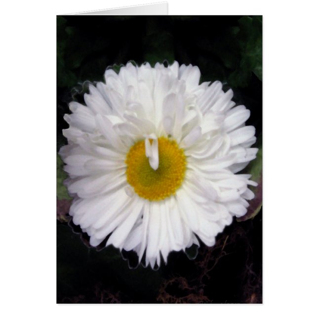 Wings of Summer (Voorkant)