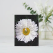 Wings of Summer Briefkaart (Staand voorkant)