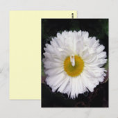 Wings of Summer Briefkaart (Voorkant / Achterkant)