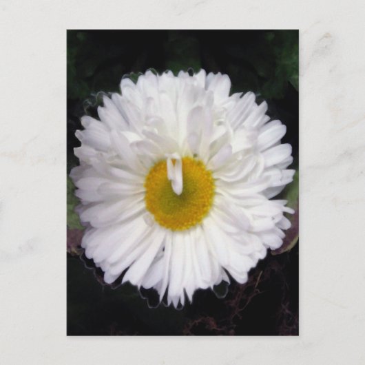 Wings of Summer Briefkaart (Voorkant)