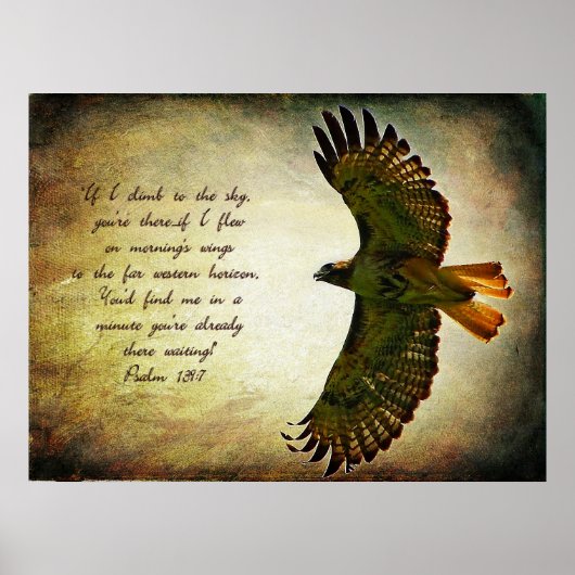 Wings of the Morning Poster (Voorkant)