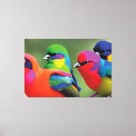 Wings of Wonder Canvas Afdruk