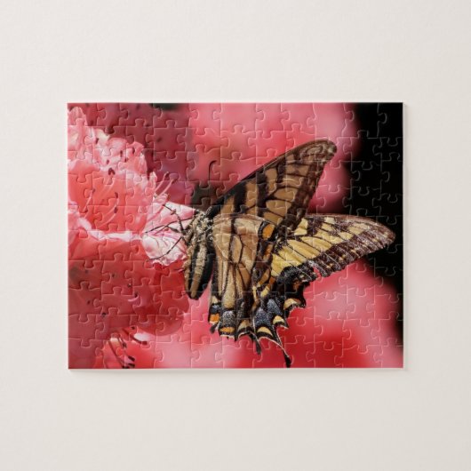 Wings of Wonder II Puzzel Legpuzzel (Horizontaal)