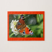 Wings of Wonder IV puzzel Legpuzzel (Horizontaal)