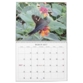Wings of Wonderment Butterfly Kalender (Mar 2027)